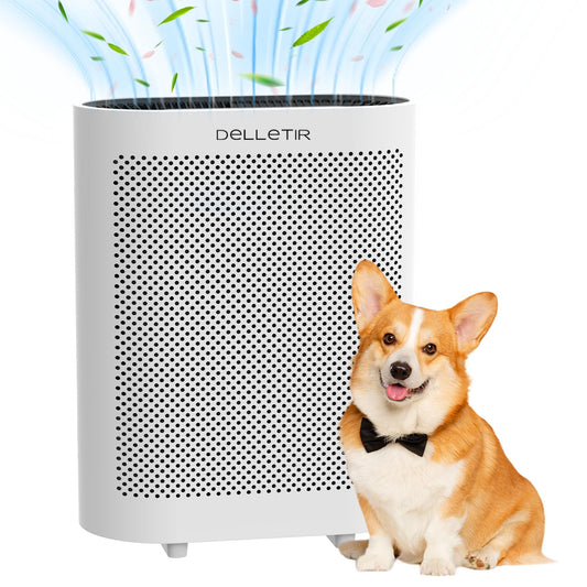 Delletir True HEPA Air Purifier GL-FS32 | 4-Stage Filtration System, Ultra-Quiet Operation, and Air Quality Sensor | Ideal for Large Rooms, Bedrooms
