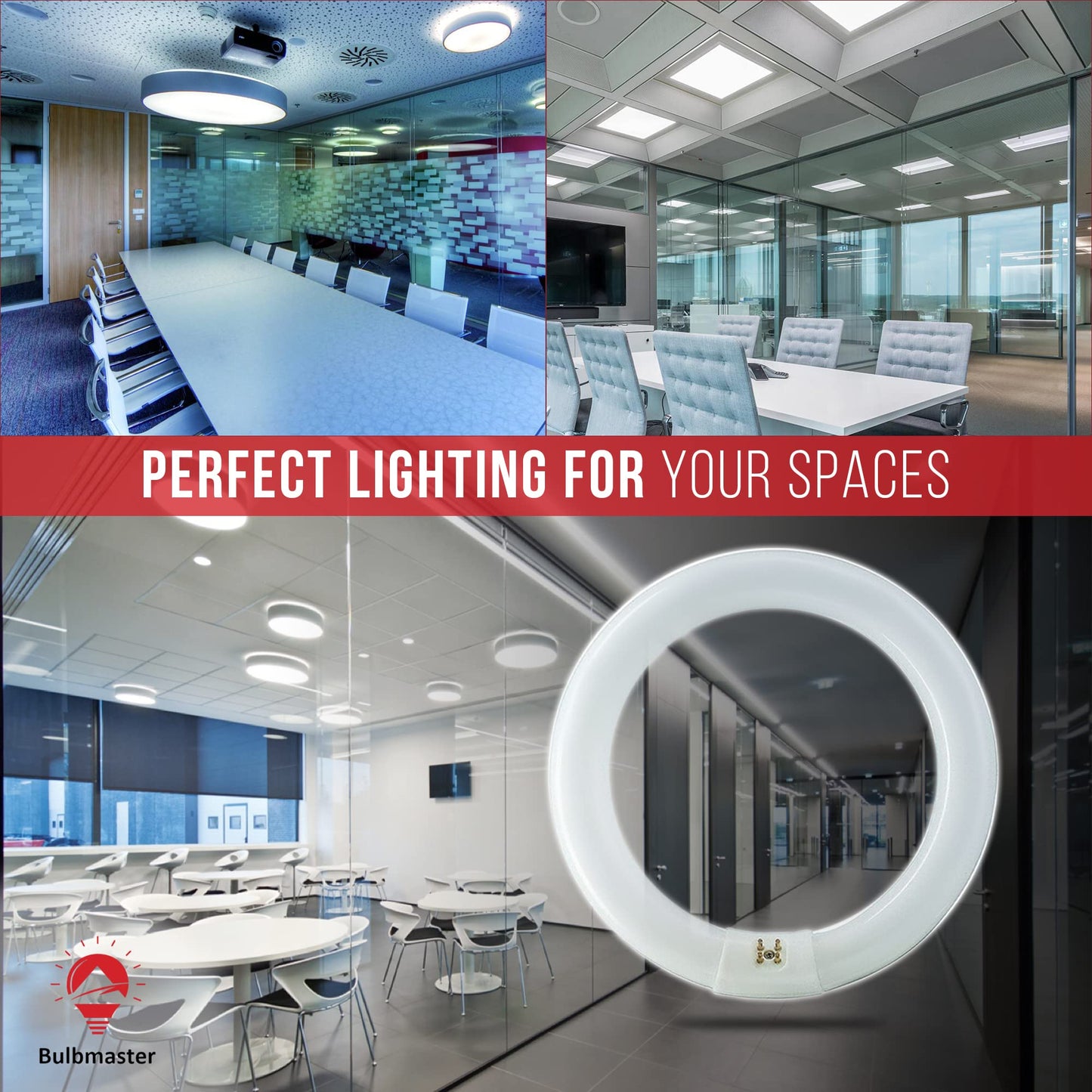 BULBMASTER FC16T9/CW 40 Watts 16 Inch Round Fluorescent T9 Circular Light Bulb, 4 pin Light Bulb Cool White 4100K, FC16T9 2600 Lumens G10Q 4-Pin Base