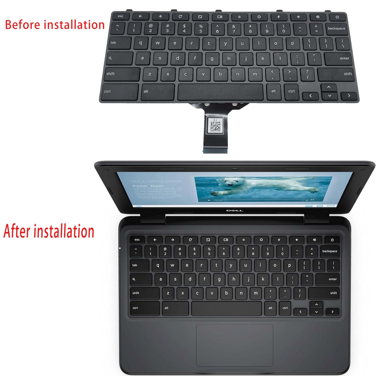 Dell Chromebook 11 Keyboard Replacement 3100/3110/3120/5190 Series (Model 005PY8 00D2DT 03G0H0 PK132FG3A00 SG-92620-XUA) | US Layout with Power Key