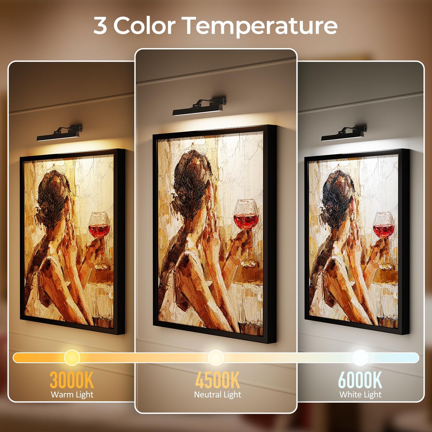 Picture Lights for Wall, Battery Operated Picture Light 16in Gallery Light for Paintings CCT Dimmable Recharging Battery Wall Light with Remote