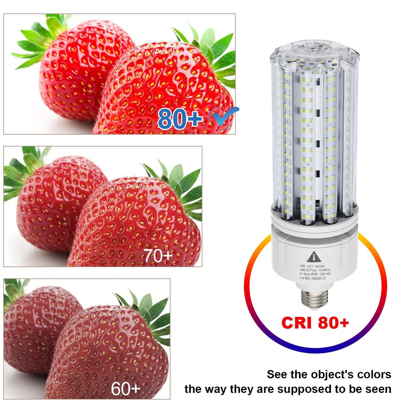 ZP LED Corn Light Bulb 100W Super Bright 15000lm 5000k E26 /E39 Led Corn Bulb, 1000W Equivalent CFL Metal Halogen HID Led Bulb for Outdoor Indoor Area