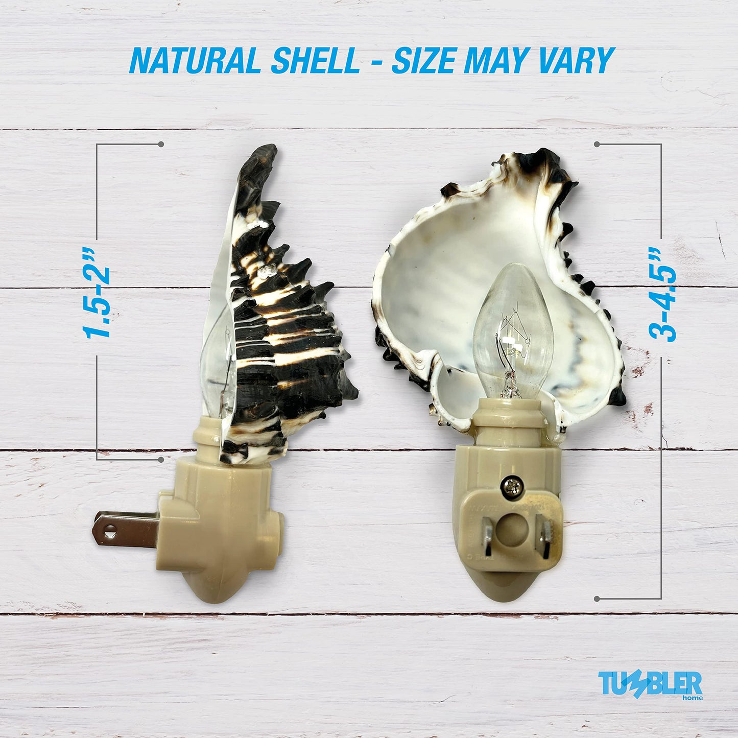 Tumbler Home Shell Night Light, Seashell Nightlight for Bathroom, Unique Coastal Night Light for Nautical, Ocean & Beach Décor