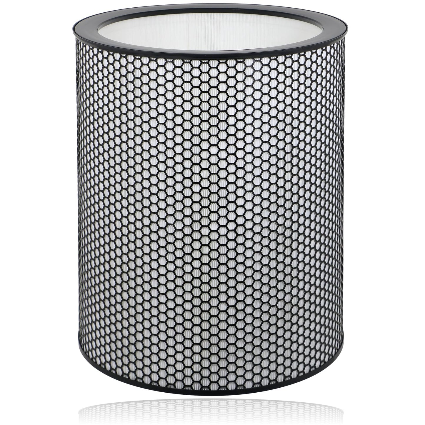 Dyson HEPA Filter