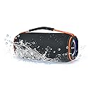 Dolphin DR-60 30W Waterproof Portable Bluetooth Speaker | Perfect for Outdoor Adventures Like Hiking, Beach, Pool, or Shower, Bedroom, Garage