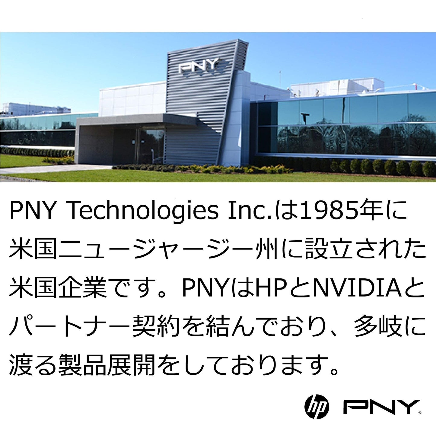 PNY 256GB Elite Performance Class 10 U3 SDXC Flash Memory Card - 95MB/s Read, Class 10, U3, 4K UHD, Full HD, UHS-I, Full Size SD