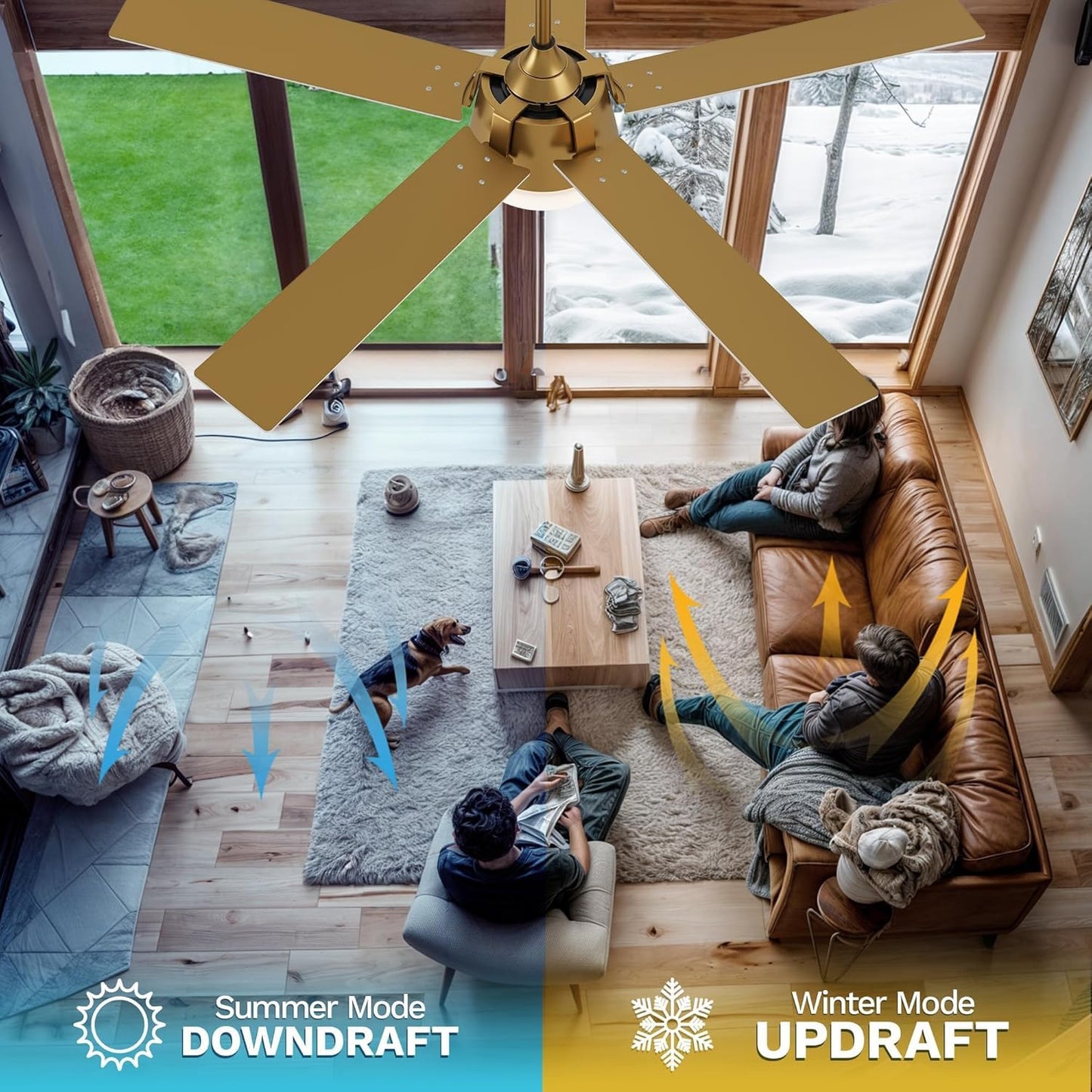 DWVO 52 Inch Smart Ceiling Fans with Lights