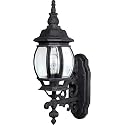 Capital Lighting 9867BK French Country Clear Glass Outdoor Wall Sconce, 19" H x 7" W, 1-Light 100 Watts, Black