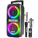 Dolphin Dual 12" Bluetooth Party Speaker - Portable Large Speaker with Wired Microphone, Multicolor LED Lights, USB Playback, Hi-Fi Amplifier