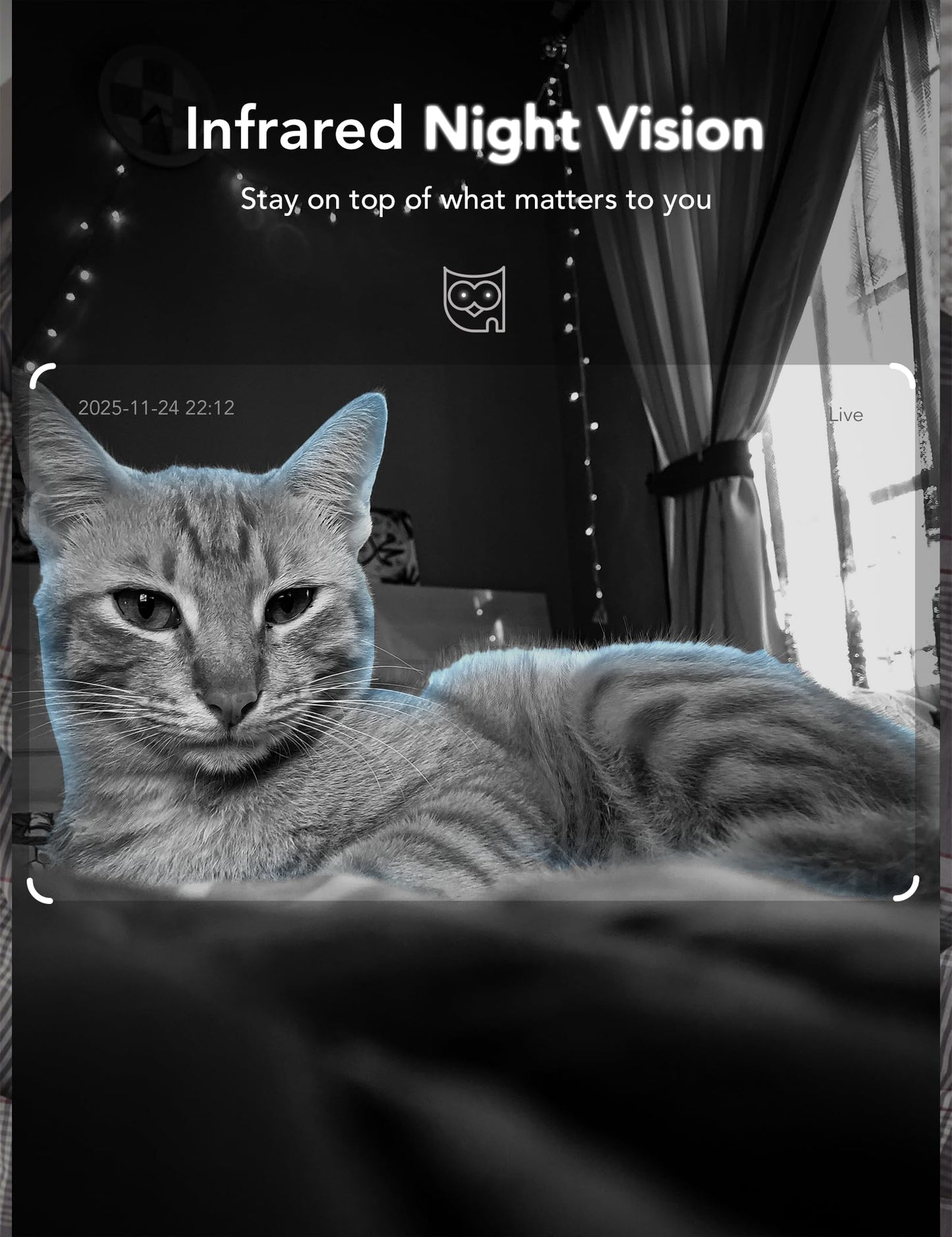 GNCC 2K Cameras for Home Security Indoor, 2.4G/5G Pet Cam with Phone App, Mini Dog Camera w/Motion Detection, 2 Way Audio, Works with Alexa, Cloud