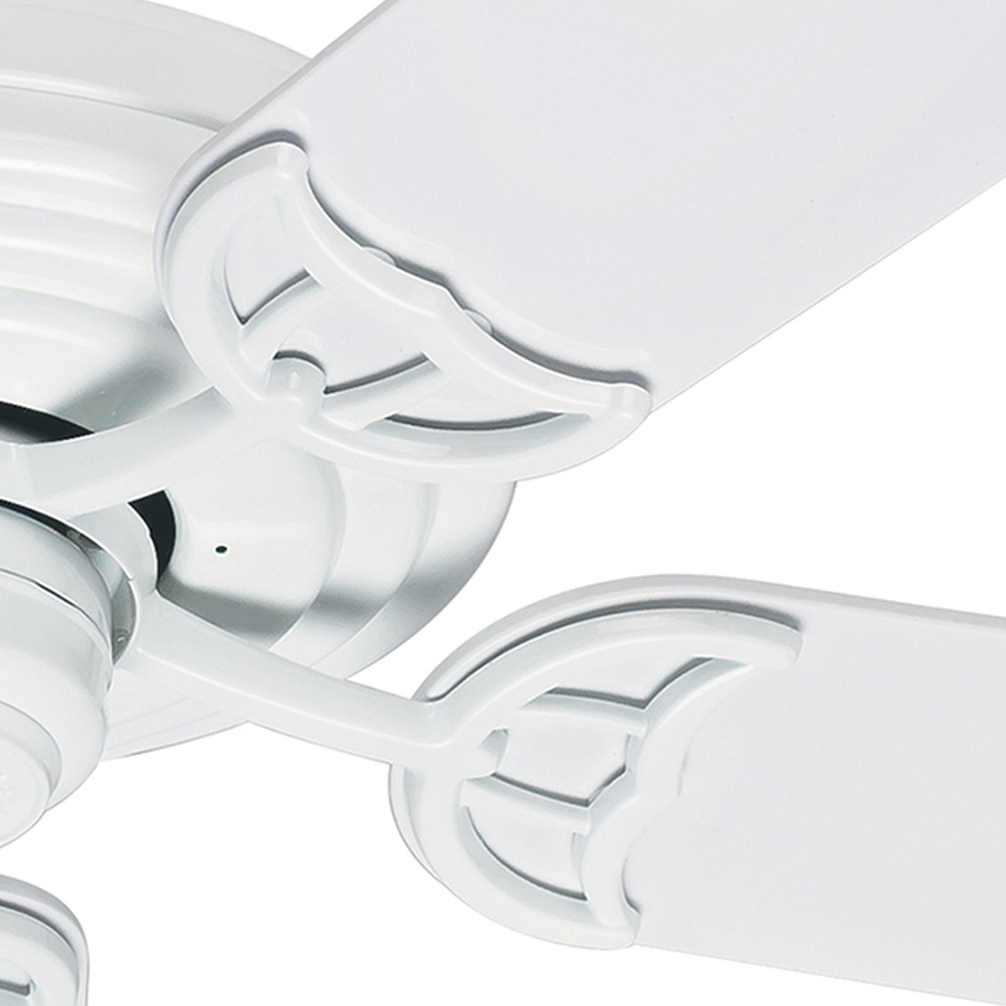 Hunter Fan 52 inch Outdoor Ceiling Fan in White with Stainless Steel Hardware to Resist Rust, 5 Blade (Renewed)