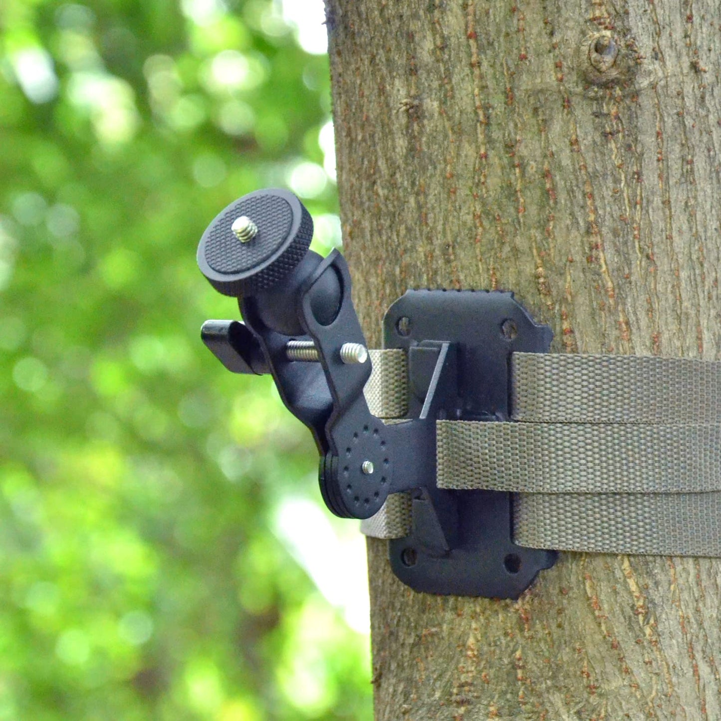 WingHome Trail Cameras Holder, Tree Camera Mount Game Tree Cam Bracket