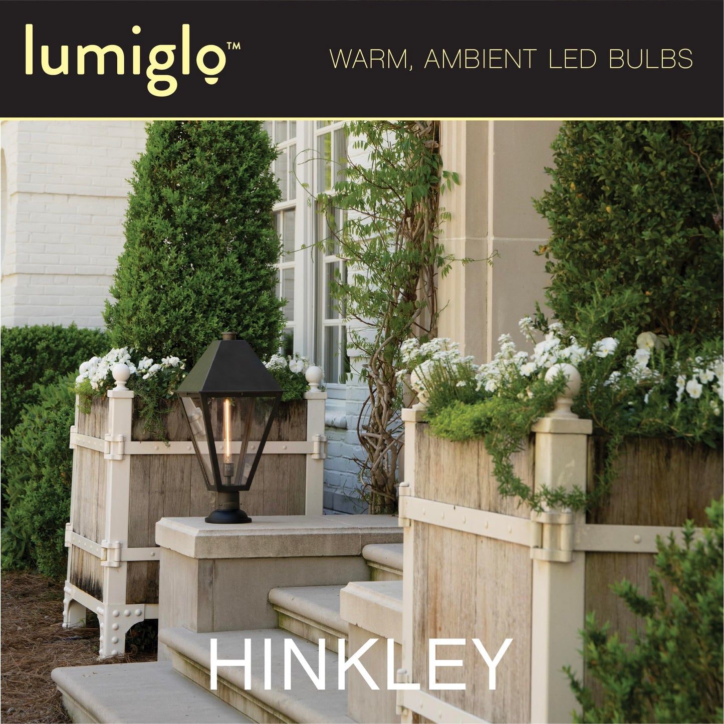 Hinkley Lumiglo T10 11" LED Tube Bulb, Clear Finish