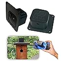 NestView™ Blink Camera Enclosure: Attach a Blink Camera on Birdhouse, Squirrel House, Owl, Nest, or Roost Box for Smart Wildlife Viewing (Flat Mount)