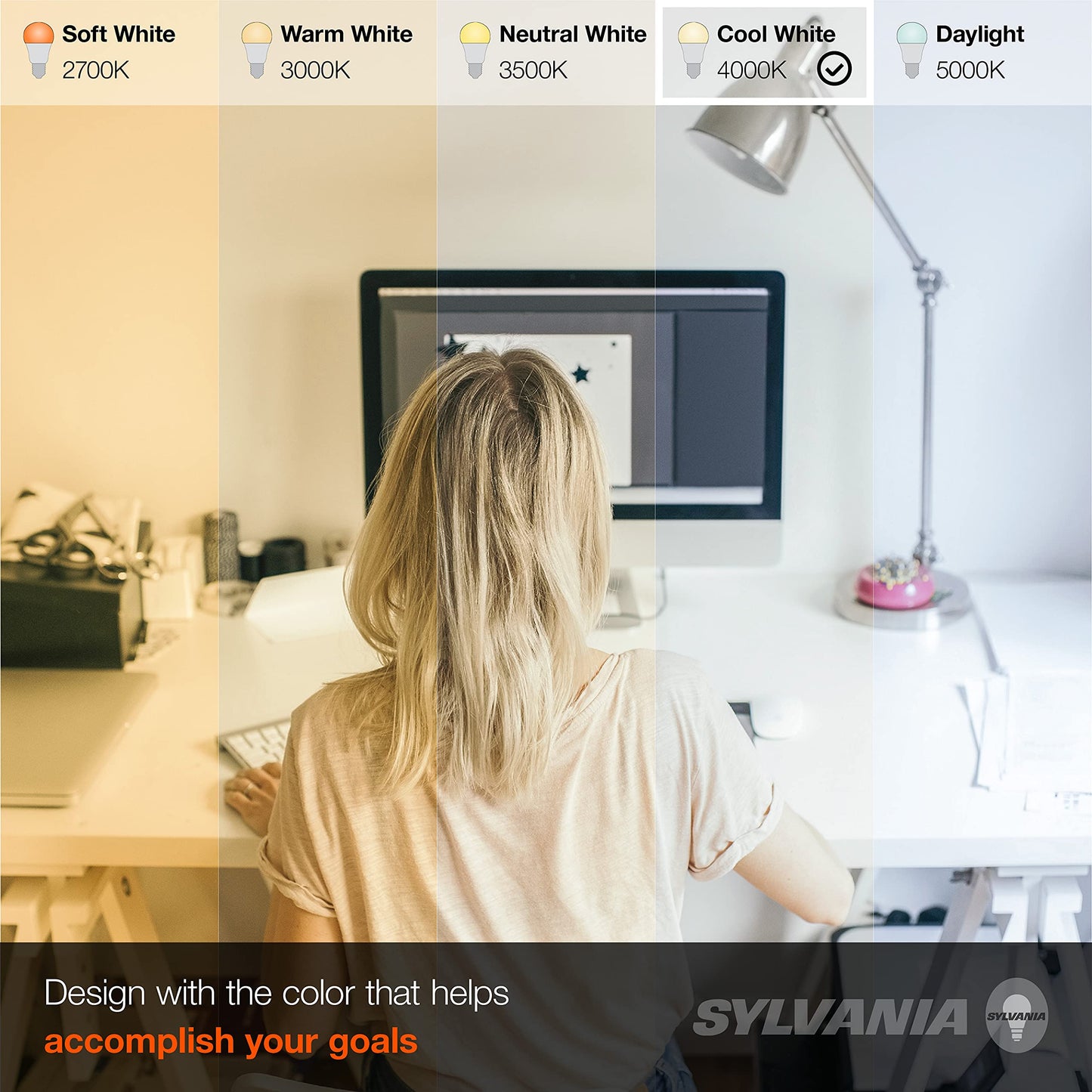 Sylvania LED Light Bulb, 60W Equivalent A19, Efficient 8.5W, Medium Base, Frosted Finish, 800 Lumens, Cool White - 1 Pack (74321)