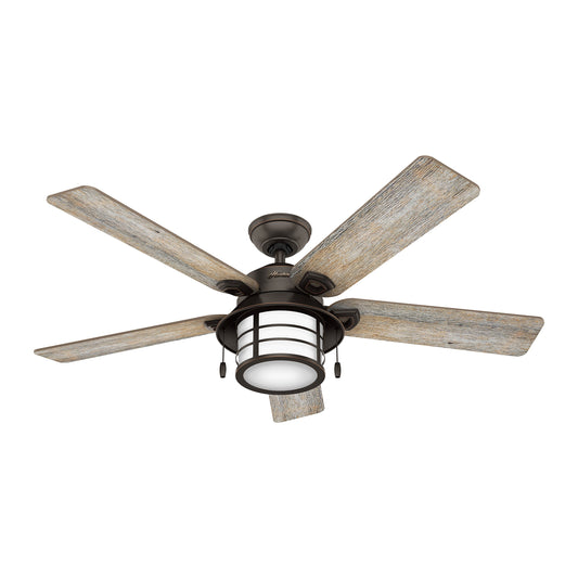 Hunter Fan 54 in. Outdoor Ceiling Fan with Light in Onyx Bengal (Renewed)