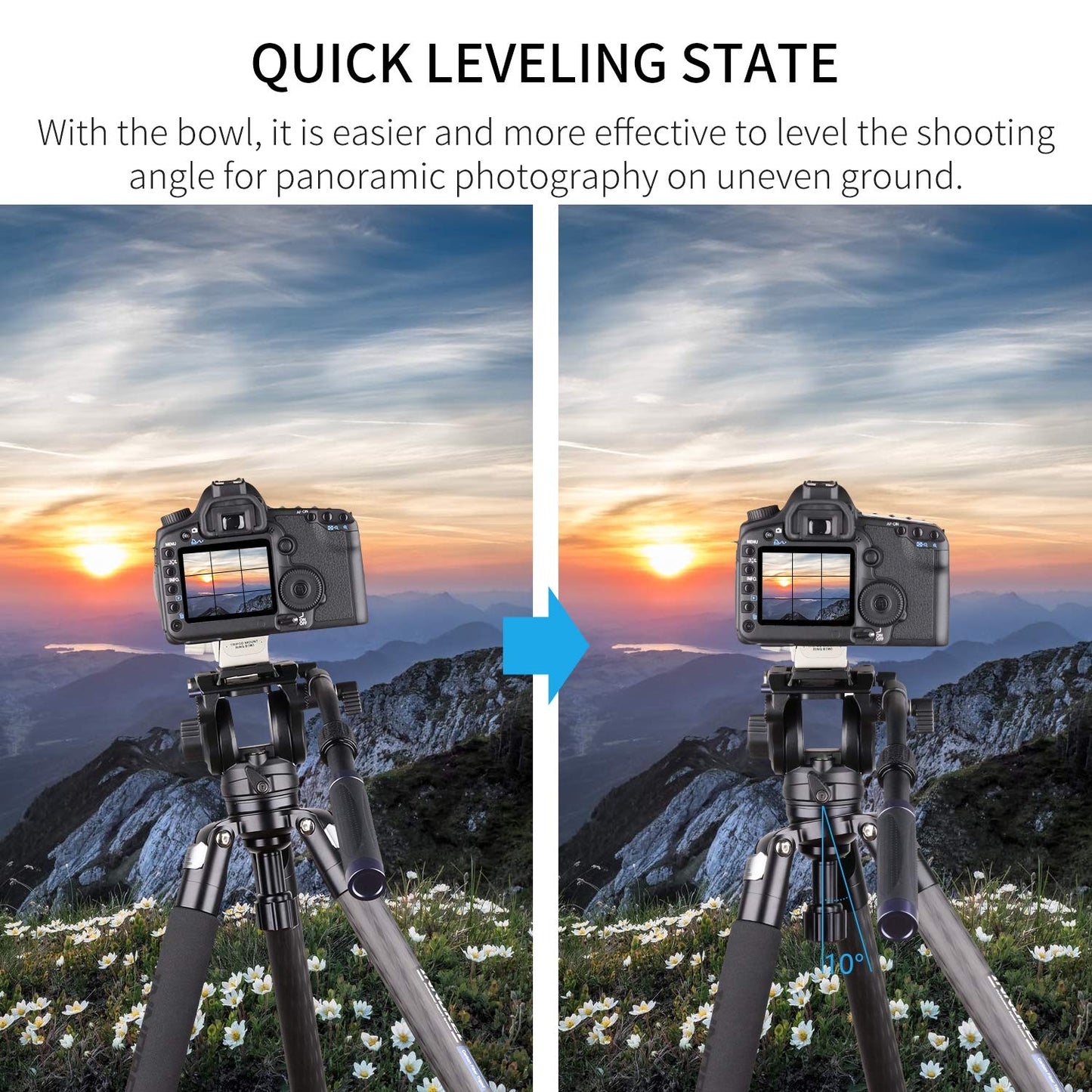 INNOREL ST324CT/ST324CF Carbon Fiber Tripod Max Height 160cm Max Load 30kg Max Tube Dia 32mm Professional Birdwatching Heavy Duty Camera Stand (Fast