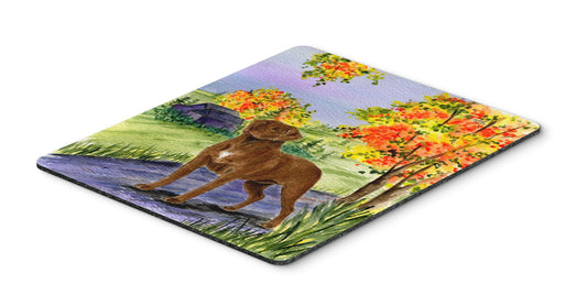 Caroline's Treasures SS8427MP Chesapeake Bay Retriever Mouse Pad, Hot Pad or Trivet for Home Office Gaming Working Computers Laptop Mouse Mat,Washable