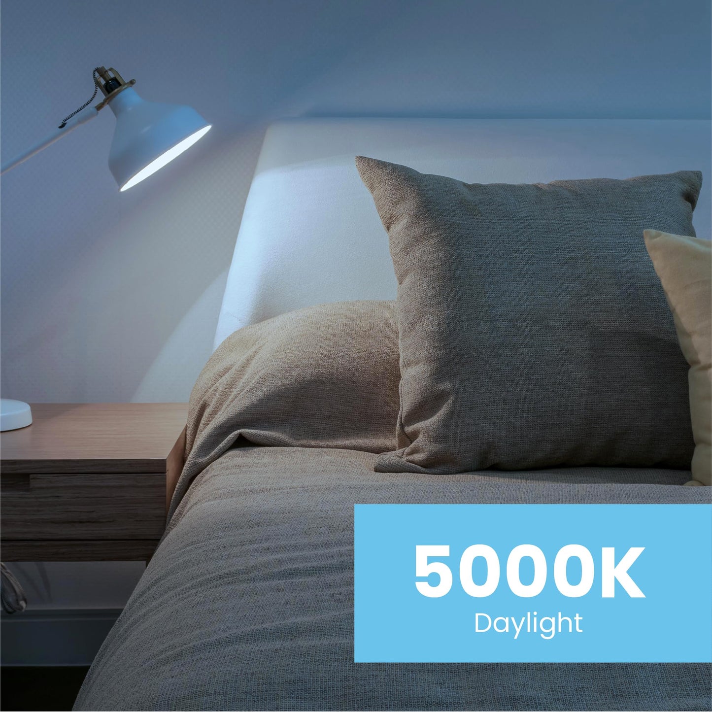 Feit Electric LED Light Bulbs, A19 60W Equivalent, Non-Dimmable, 800 Lumens, A19 LED Light Bulbs, E26 Base, 5000k Daylight, A19 LED Bulbs, 10 Year