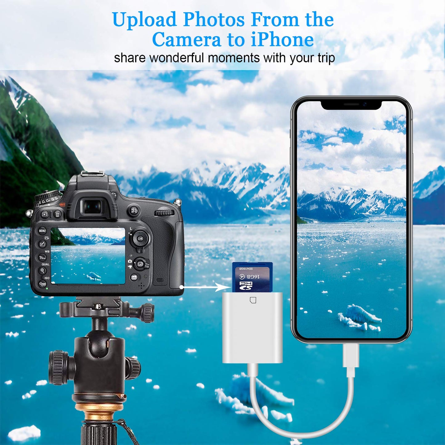 Lightning to SD TF Card Camera Reader Digital Camera SD Card Reader for Select iPhone, iPad Models (Support iOS 16 and Before), Trail Game Camera