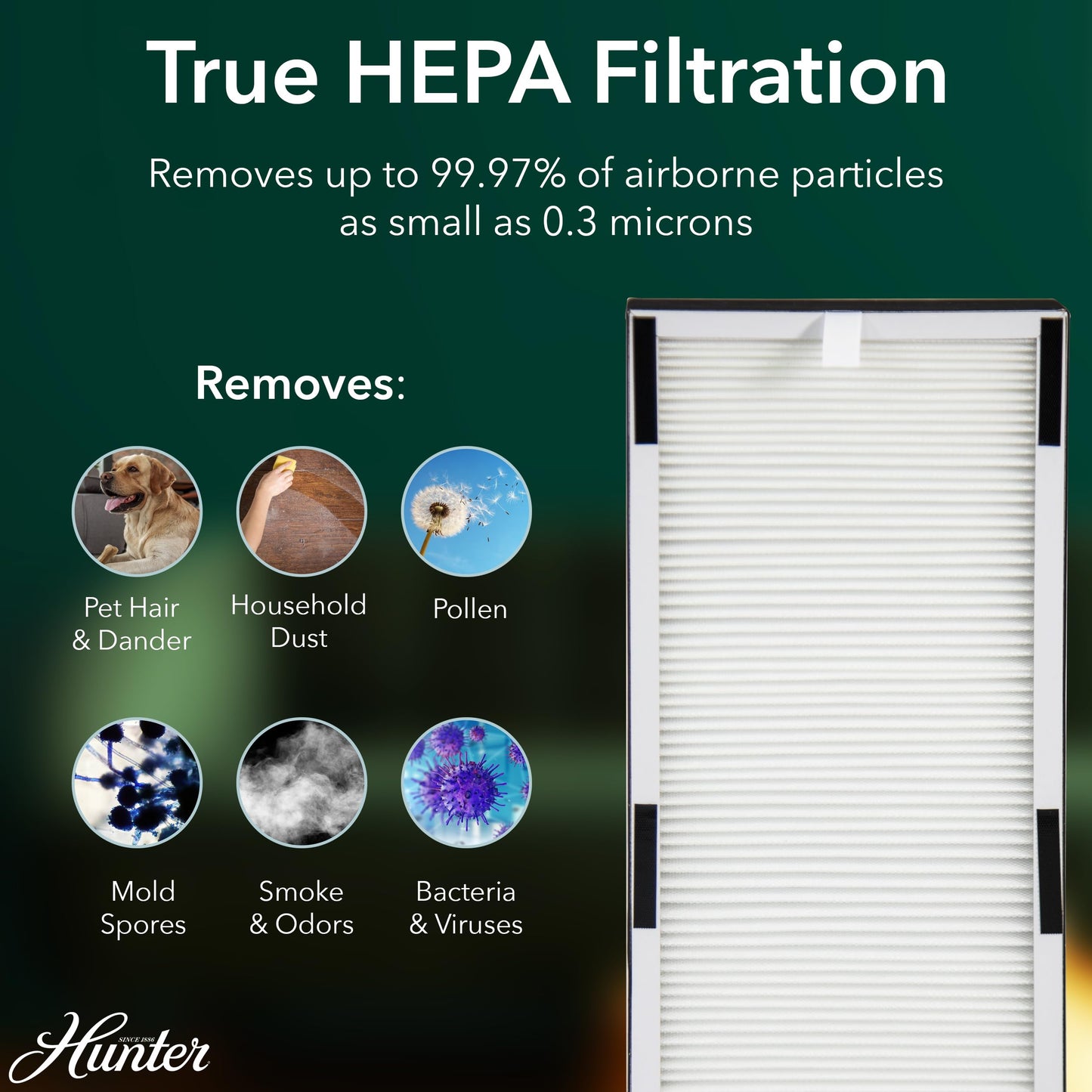 Hunter Tower Air Purifier for Home Large Room, Bedroom, Black