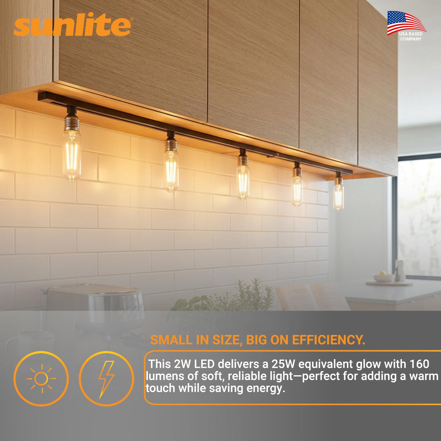 Sunlite LED Filament T10 Tubular Light Bulb, 2 Watts (25W Equivalent), 160 Lumens, Medium E26 Base, 120 Volts, Dimmable, 90 CRI, UL Listed, Clear