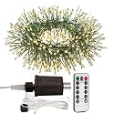 ZELUXDOT Firecracker Fairy Lights,100FT 1000Leds Waterproof Twinkle Lights Plug in,8 Modes Remote String Light for Indoor Outdoor Christmas Wedding