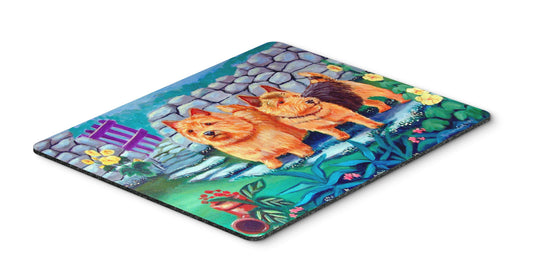 Caroline's Treasures 7520MP Norwich Terrier Mouse Pad, Hot Pad or Trivet for Home Office Gaming Working Computers Laptop Mouse Mat,Washable Large