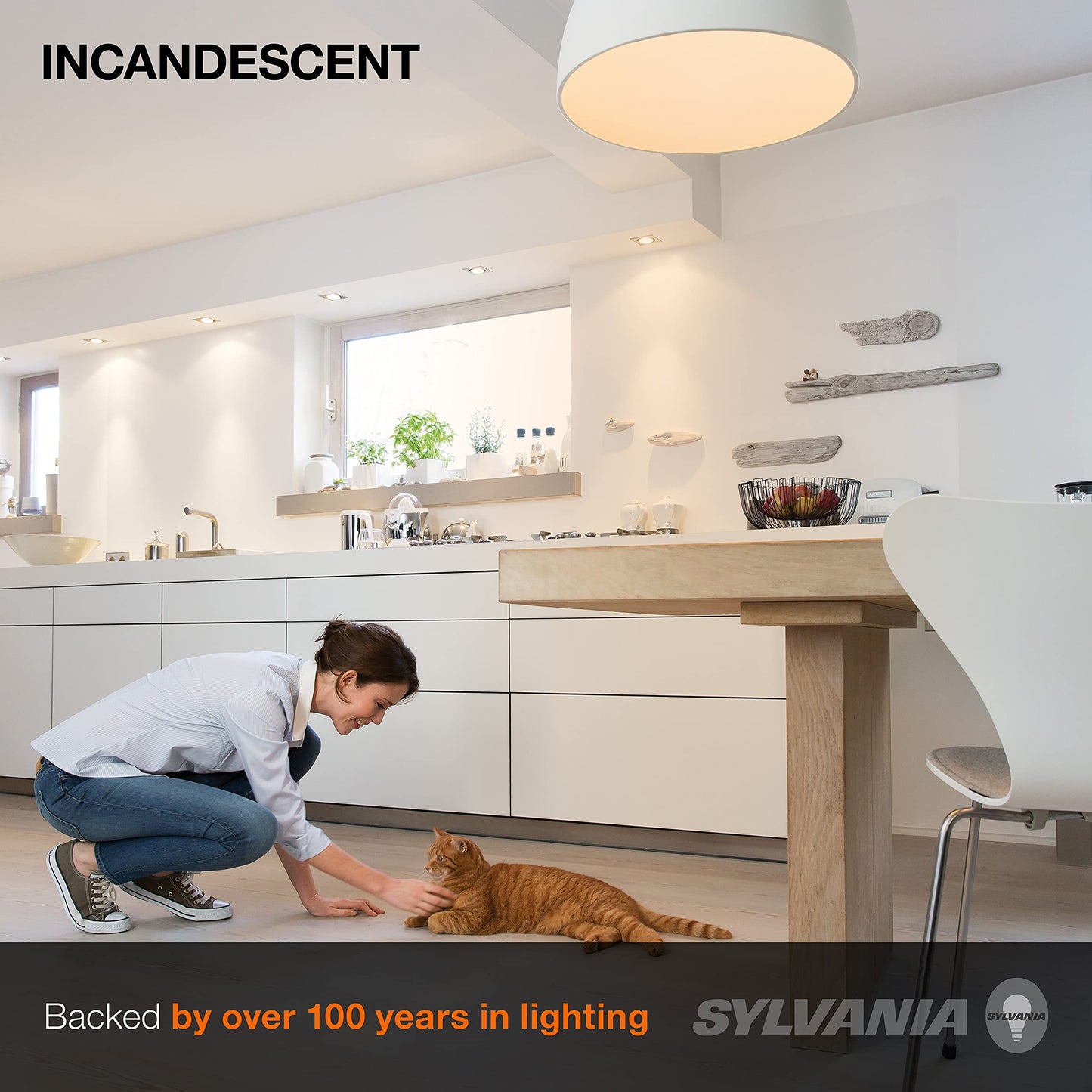 Sylvania Incandescent A19 E26 Medium Base 25 Watt Light Bulbs, 2 Pack
