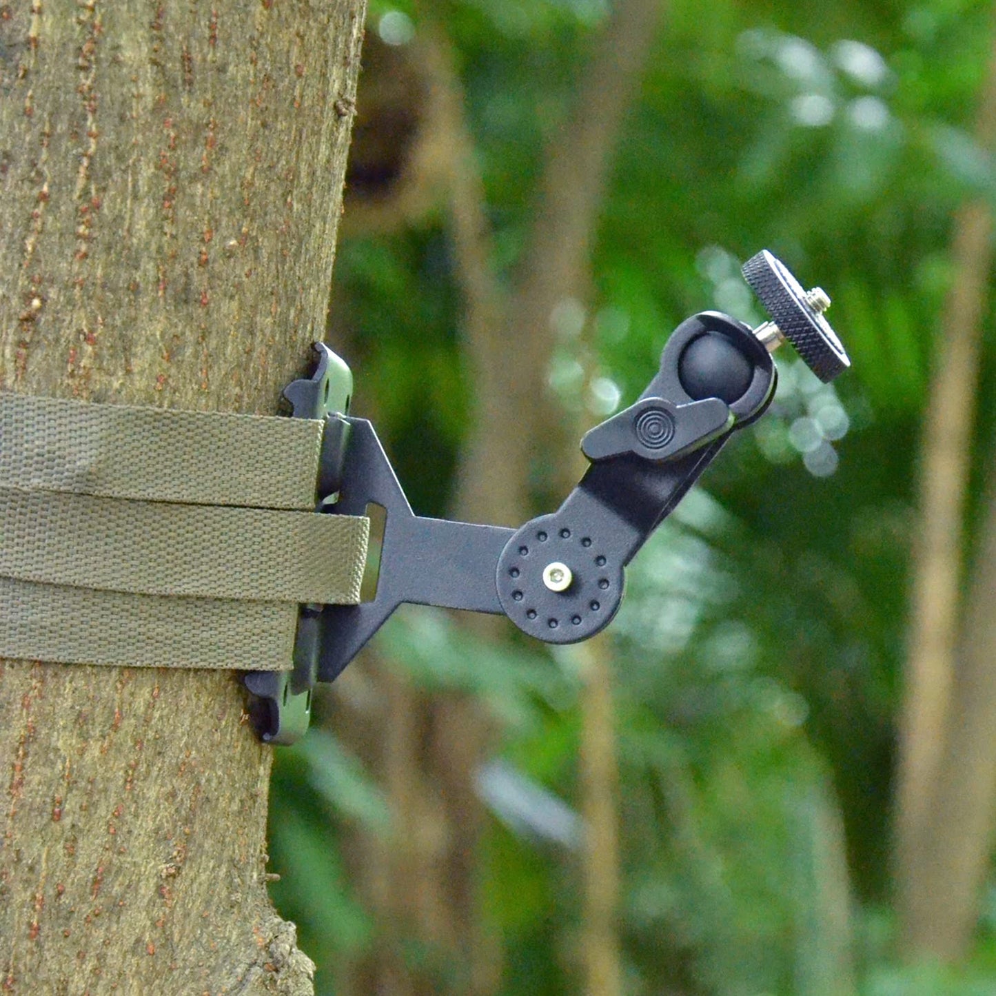 WingHome Trail Cameras Holder, Tree Camera Mount Game Tree Cam Bracket