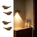 Lumiscintyrws Cute Bird Night Light: Motion Sensor Lights Indoor - Magnetic Mounting & 3 Color Dimmable - One Charge Three Weeks of Worry-Free Use
