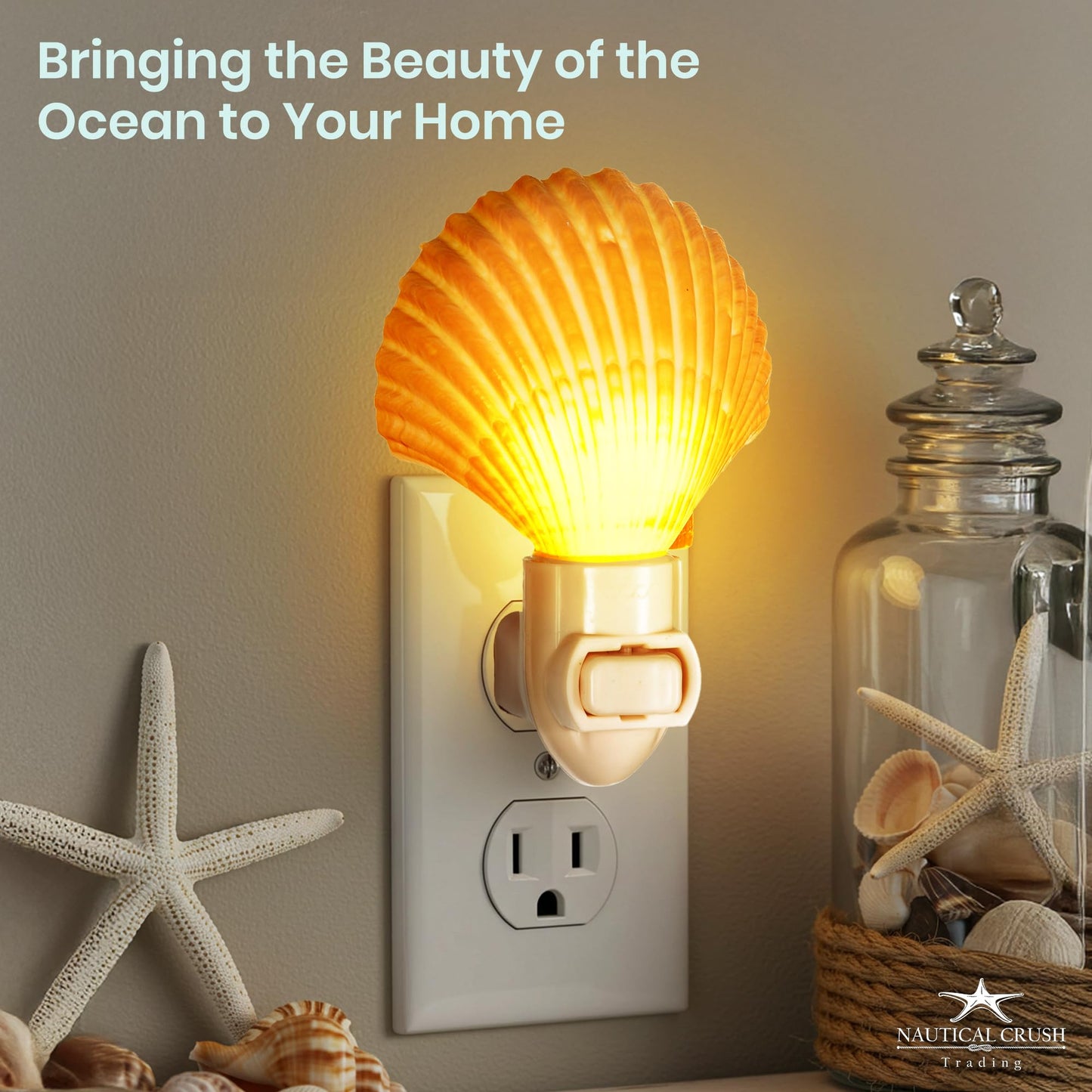 Nautical Crush Trading Seashell Night Light - Beach Night Light with Mexican Cup - Shell Light for Bathroom - Sea Shell Lamp - Seashell Lamp Plug Into