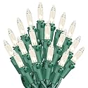 Novelty Lights 34 Feet 100 Bulbs Traditional Incandescent Mini Lights, Clear on Green Wire with 4" Spacing, Commercial Grade and UL Listed