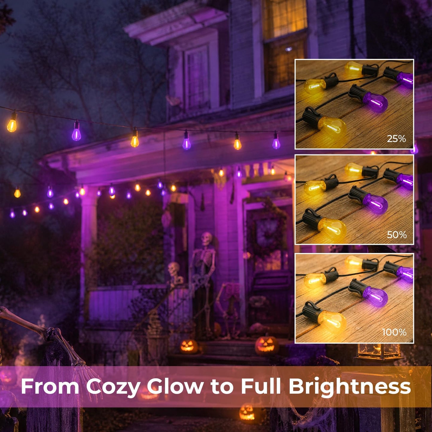 GvvooHome S14 Orange & Purple Replacement Bulbs for Patio Lights, 42 Pack