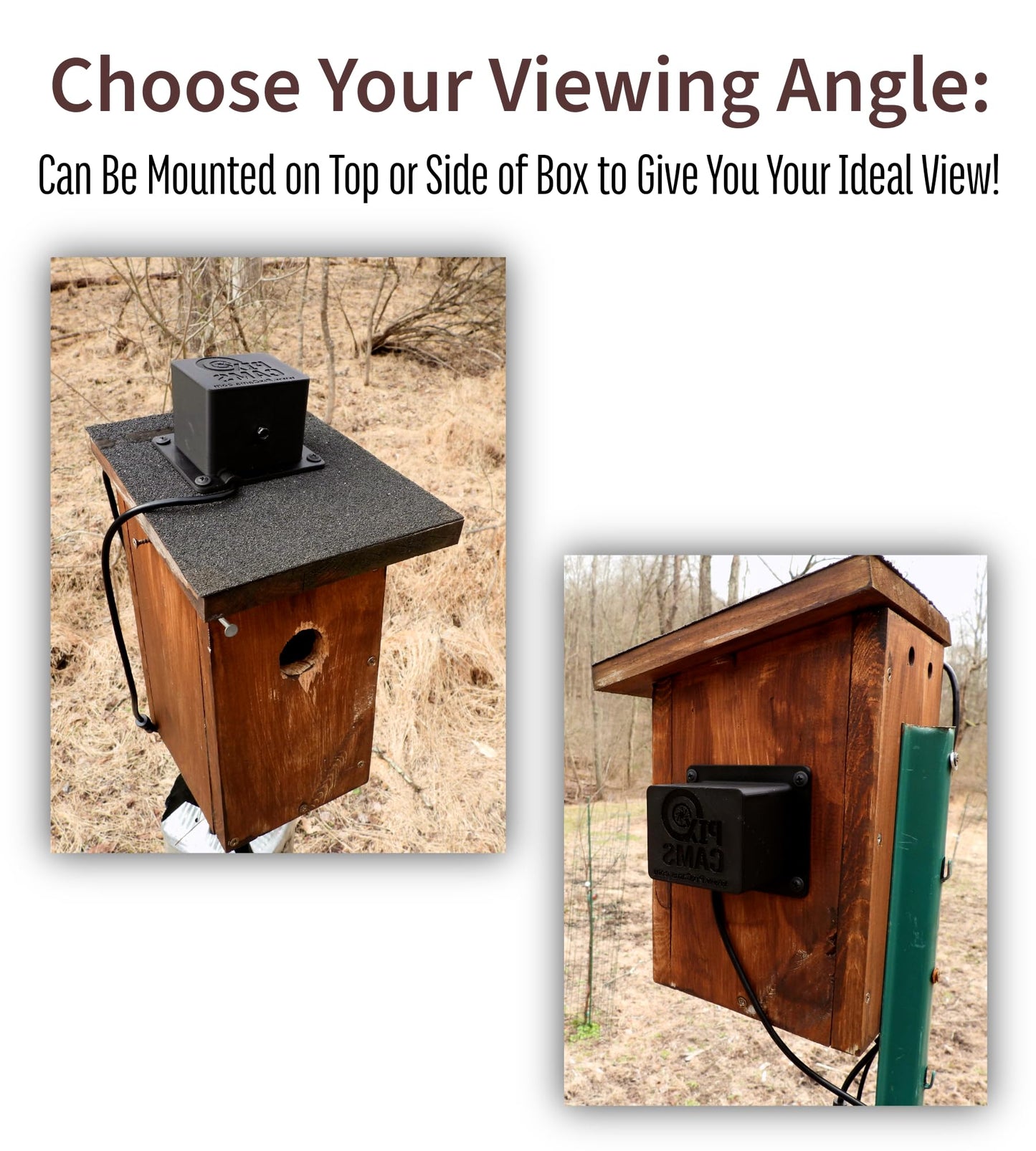 NestView™ Blink Camera Enclosure: Attach a Blink Camera on Birdhouse, Squirrel House, Owl, Nest, or Roost Box for Smart Wildlife Viewing (Flat Mount)