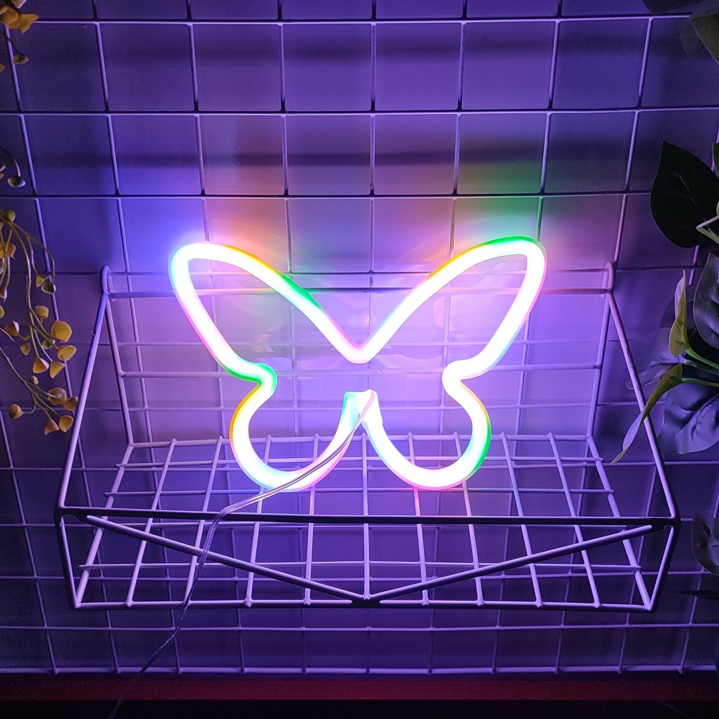 JYWJ Butterfly Neon Sign,USB or 3-AA Battery Powered Neon Light,LED Table Decoration,Bedroom Wall Decoration,Birthday Gift,Wedding Supplies Business