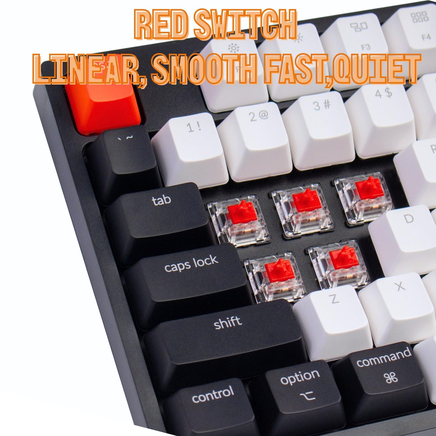 Keychron C2 Full Size 104 Keys Wired Mechanical Gaming Keyboard for Mac Layout with Gateron G Pro Red Switch/White LED Backlight/Double Shot ABS