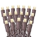 Festive Living 50 Warm White Wide Angle LED Mini Lights on Brown Wire - 25 ft Commercial Grade, 5mm Concave LEDs, Full Wave No-Flicker, Connect 43