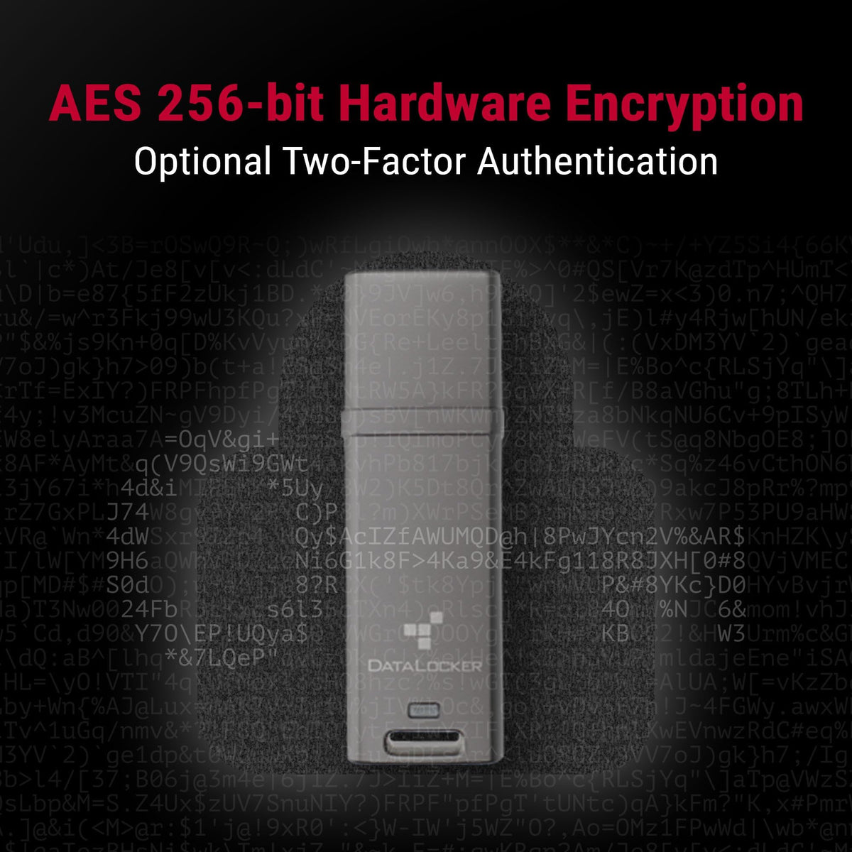 DataLocker DL GO Encrypted USB Flash Drive | USB 3.2 Gen 1 | AES 256-bit XTS | FIPS 197 | IP68 Rugged | TAA Compliant - 16GB