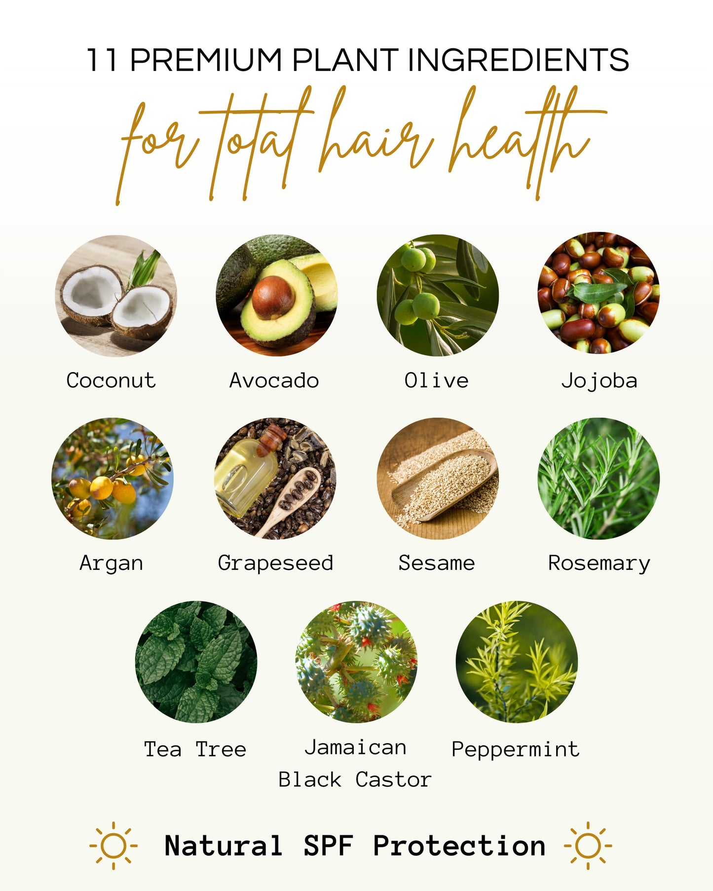 Righteous Roots Rx Hair Oil – Hair Growth, Anti-Frizz & Thickening Oil for Curly, Wavy, Natural Hair & Beards – 4 fl oz (Hair RX)