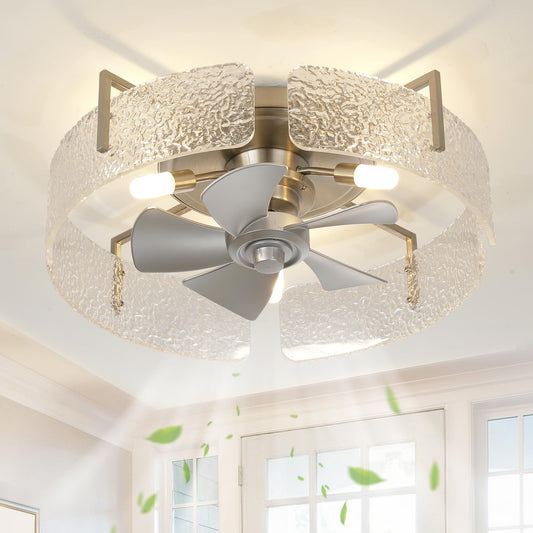 CalorHoga 20" Low Profile Caged Ceiling Fan with Light and Remote