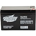 Interstate Batteries 12V 8Ah Battery (SLA1075) Sealed Lead Acid Rechargeable SLA AGM (F1 Terminal) Wireless Internet UPS Systems, FIOS, SP12-7