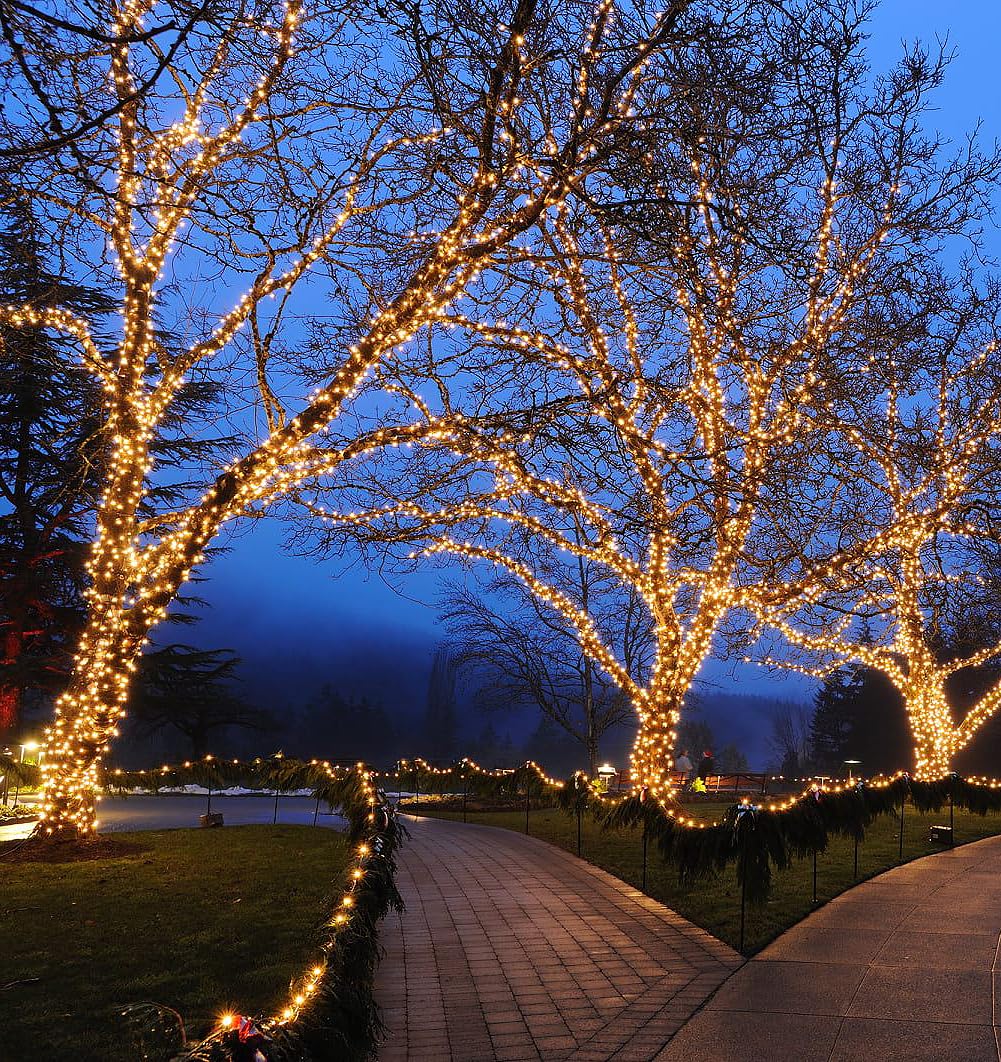 Festive Living 50 Warm White Wide Angle LED Mini Lights on Brown Wire - 25 ft Commercial Grade, 5mm Concave LEDs, Full Wave No-Flicker, Connect 43