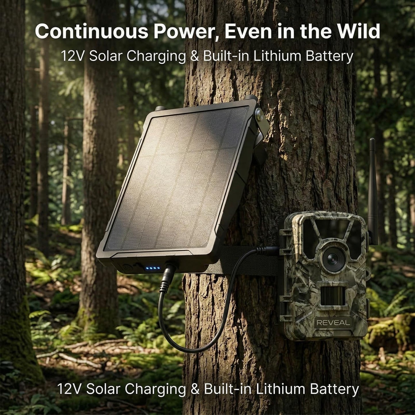 Solar Panel Charger Compatible with Reveal Cellular Trail Cameras X 2.0, X 3.0, X Pro 3.0, Gen 1, SK, XB | 12V Solar Power Supply with Built-in