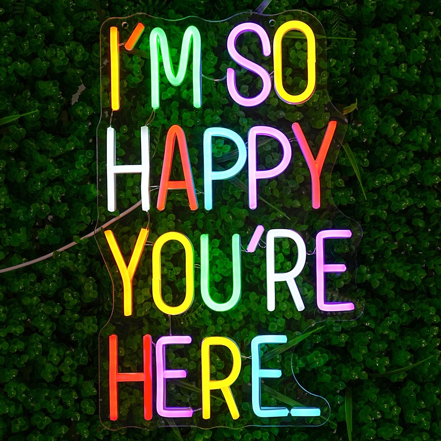 LULANMP I'm So Happy You're Here Neon Sign Letter Neon Lights up Signs Dimmable Positive Affirmation LED Light for Kids Room Welcome Signs