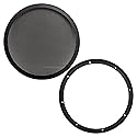 Earthquake GRL-10 10-Inch 2-Piece Heavy-Duty Steel Mesh Car Speaker Subwoofer Grill Cover, Black