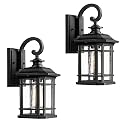 Emliviar Outdoor Wall Lanterns 2 Pack, 1-Light Exterior Wall Mount Light, Black Finish with Clear Seedy Glass, 2084B-2BK