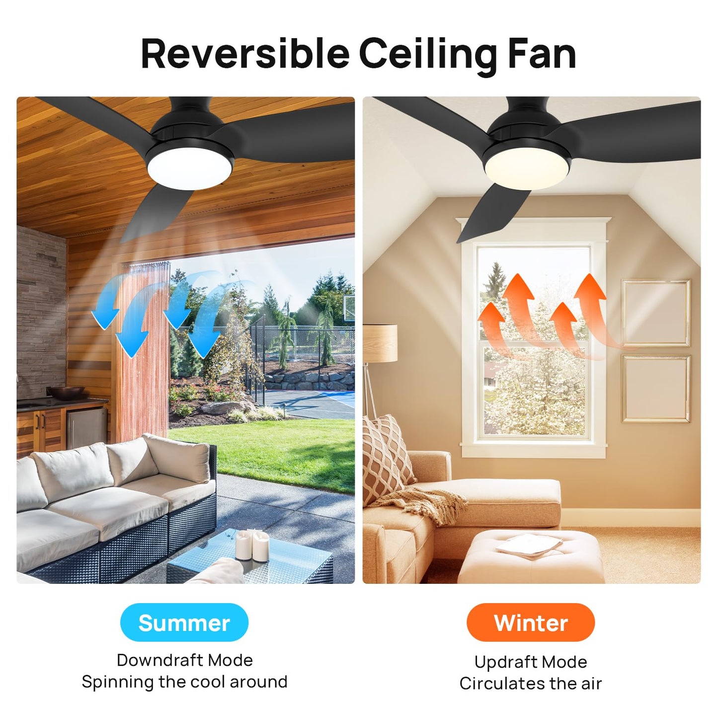 Consciot Ceiling Fan With Light, 44 Inch Low Profile Ceiling Fan with remote control, 6-speed choice, Reversible DC motor, 3CCT, Dimmable, Whisper