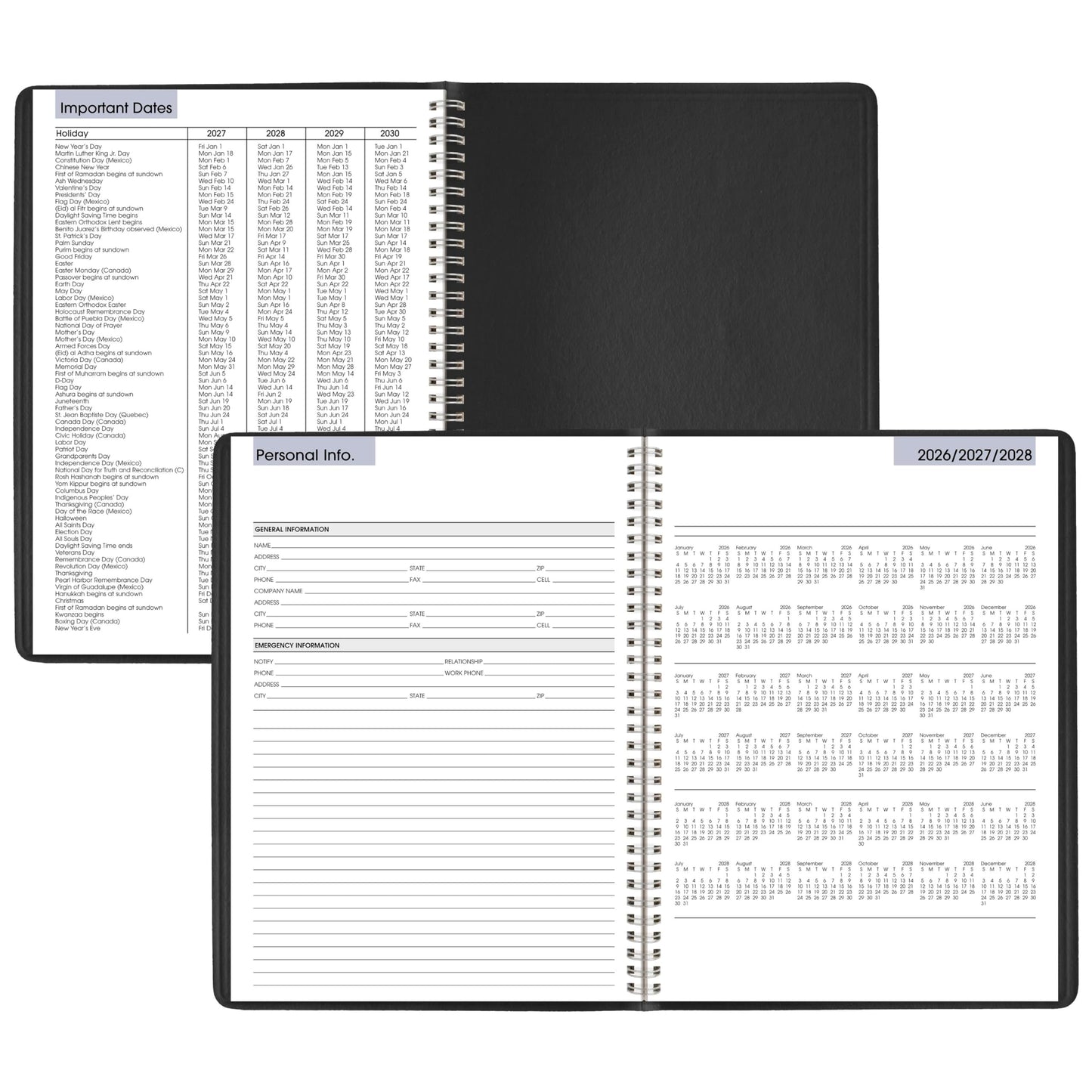 AT-A-GLANCE 2027 Appointment Book Planner, Weekly, 8" x 11", Quarter-Hourly, DayMinder, Black (G5200027)