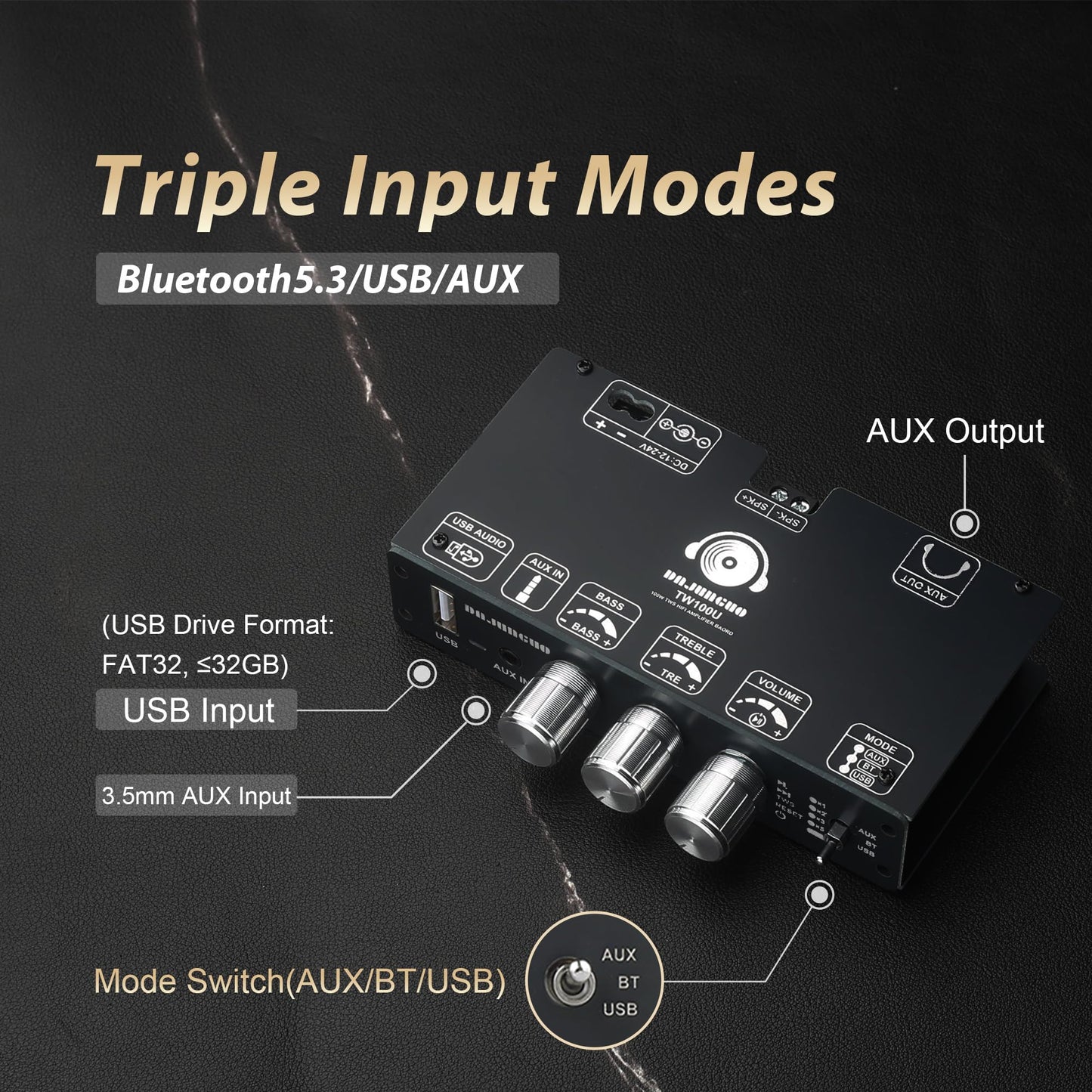 TW100U 100W Mono Amplifier Board, TPA3116D2 Digital Power Amp Module with Built-in Step-up Voltage Circuit (19V/24V), Supports TWS Wireless Pairing