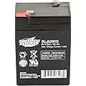 Interstate Batteries 6V 4.5Ah Battery (F1 Terminal) SLA AGM VRLA Rechargeable Replacement for Blood Pressure Monitors, Oxygen & Pulse Meters, Deer…